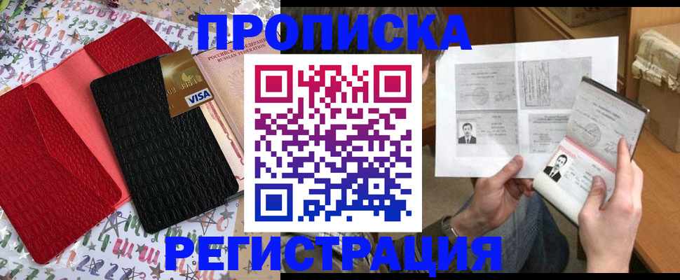 прописка поиск в Майкопе